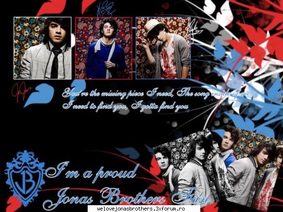 :zzz: galerie poze jonas brothers